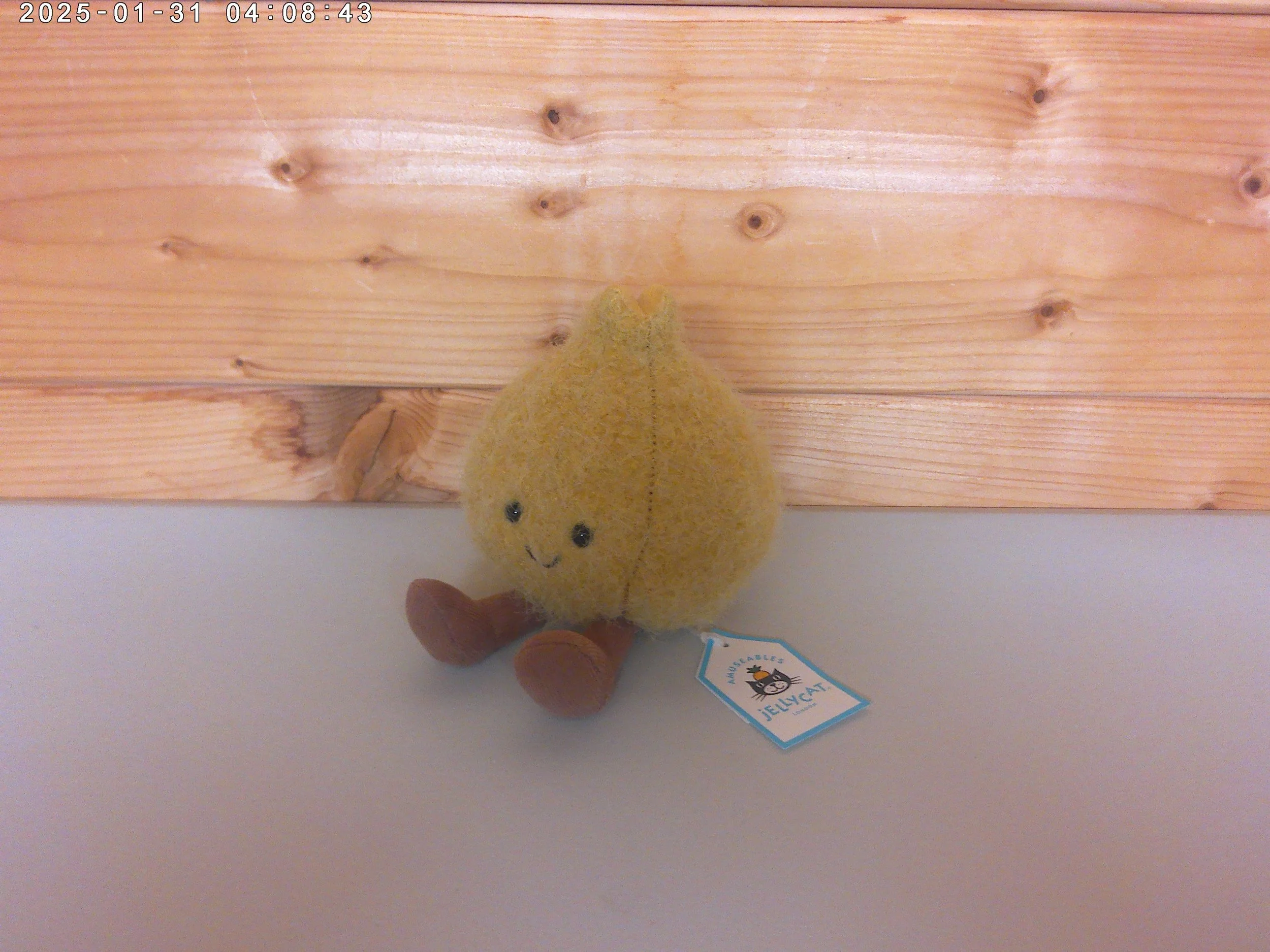 Jellycat Onnie Pickled Onion - New with Tags - Exclusive to